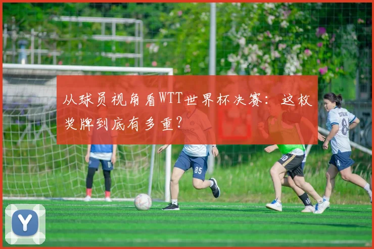 从球员视角看WTT世界杯决赛：这枚奖牌到底有多重？