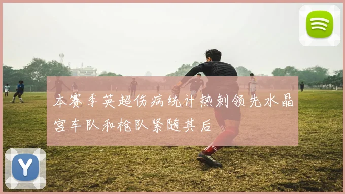 本赛季英超伤病统计热刺领先水晶宫车队和枪队紧随其后